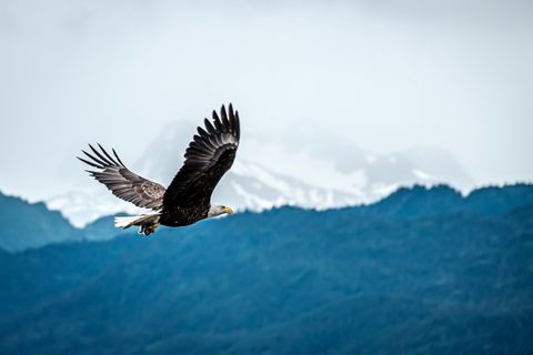 Homer, Alaska, Amurica.