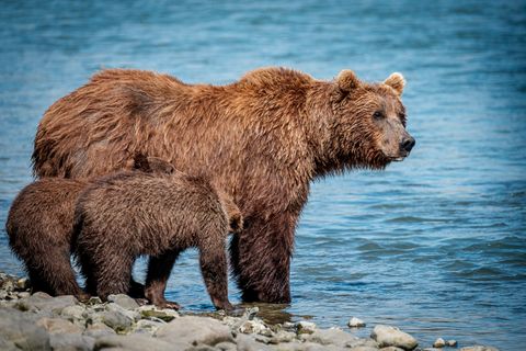 Hanging out with mom.