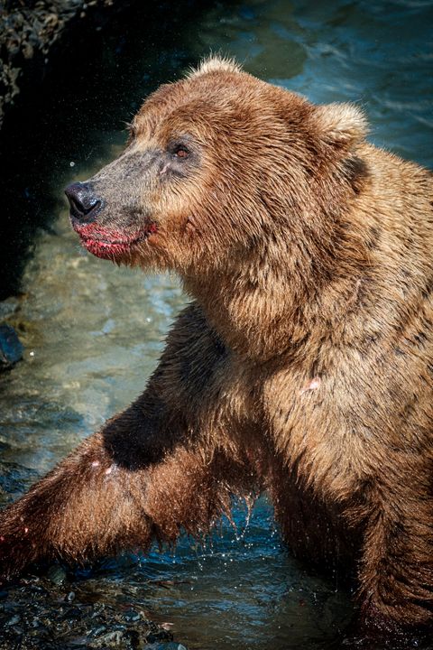 Looking glamorous <em>and</em> metal. Note: fishes <em>were</em> harmed in the making of this lipstick.