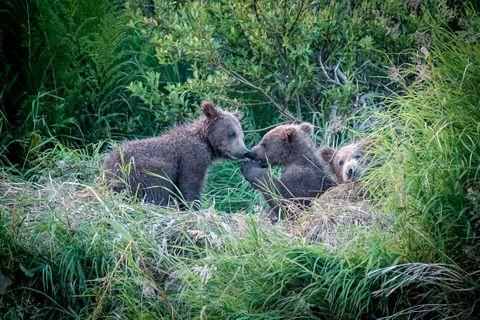 Psst…sharing an (adorable) secret.