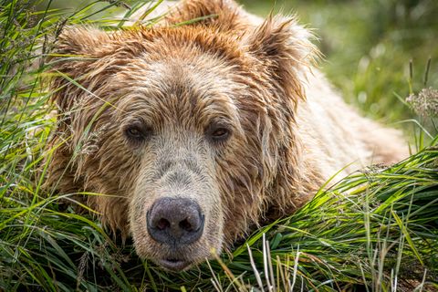 He just woke up from his nap yards behind us.