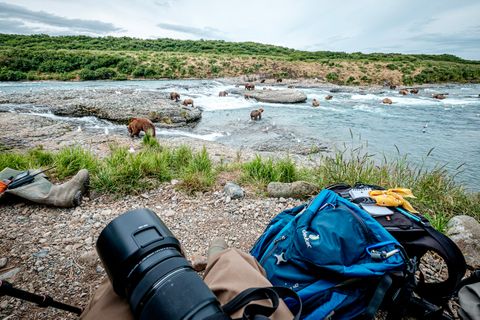 Sitting by the river, we could count out 47 bears in view.
